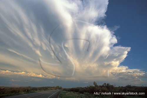 The making of a storm anvil cloud, propagating upwind