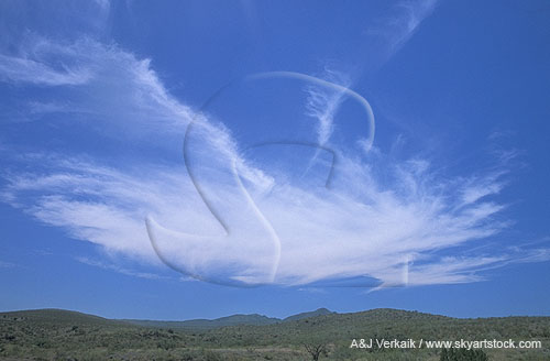 A single, large, isolated Cirrus cloud patch