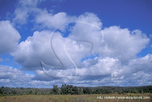 Cloud types, Cu: Cumulus clouds of moderate size (Mediocris)
