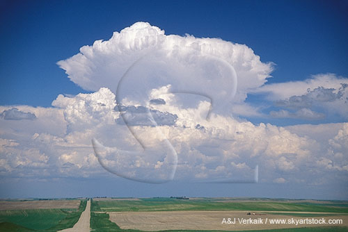 Cloud types, Cb: a small Cumulonimbus cloud rises