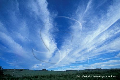 Cirrus bands fan across the sky creating artistic cloud designs