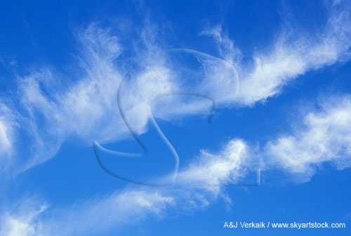 Free-floating, whirling Cirrus cloud in a blue sky