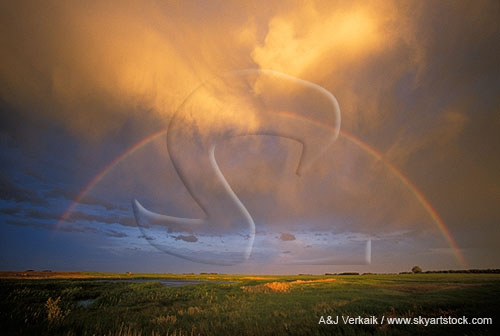 Golden twilight brushes clouds as a rainbow arcs over a farm pond