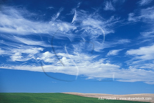 Altocumulus and Cirrus: two stages of the same formation process