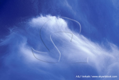 Storm of large ice crystals trails like tangled strands of flowing hair