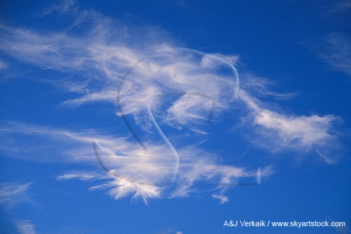 Tufts of cloud in interesting shapes