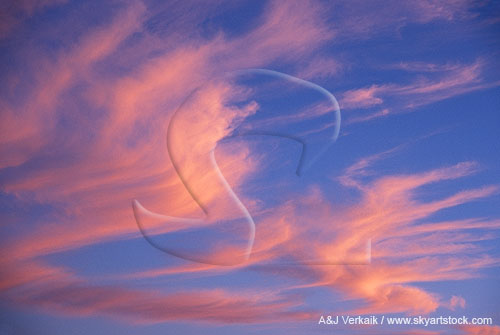 Abstract sky: glowing pink clouds in rhythmic waves