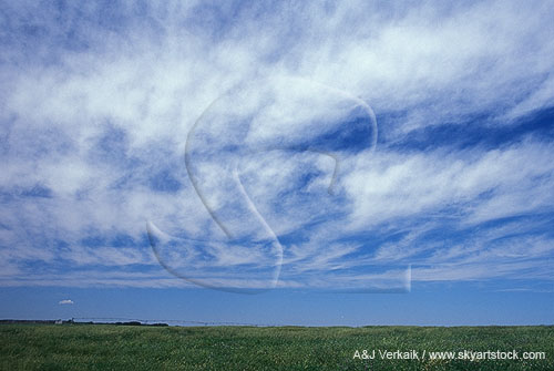 Continuous sublimation within Cirrus clouds transforms the sky