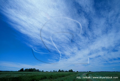 Cloud type, Ci: a streaked sheet of Cirrus clouds