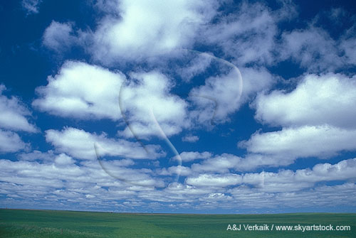 Cloud classification issues and problems: eroding Stratocumulus 