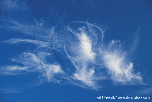 Joyous dancing cloud tufts in a deep blue sky