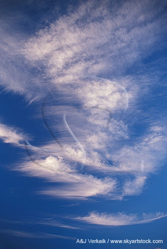 Carefree arcs of cloud grace a deep blue sky