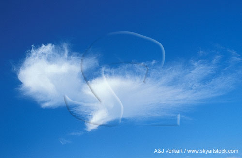 Joyous tufts of fanciful cloud dance in a blue sky abstract