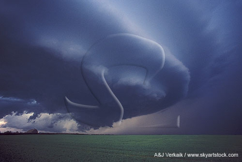 Near-perfect structure of a classic supercell storm