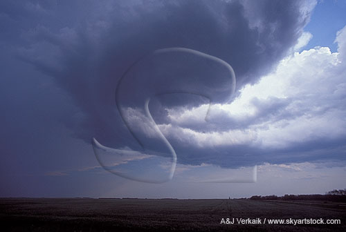 A mysterious swirl of clouds curls around the base of a supercell