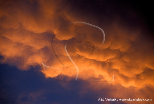Abstract: red gold Mammatus in a sunset sky