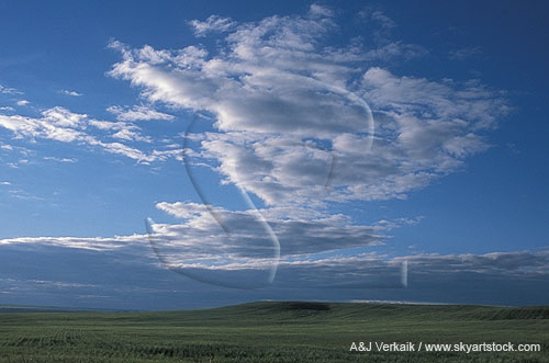 Example of a difficult cloud form type to identify
