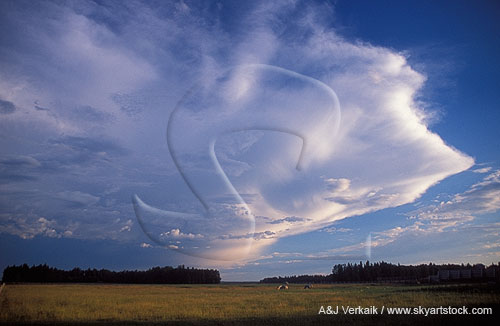 A large anvil cloud wing extends away from the storm and freezes 
