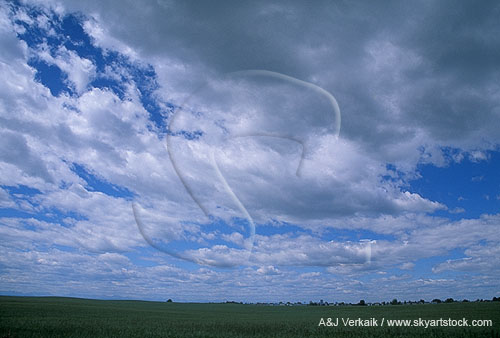 Difficult cloud type example: Stratocumulus and Altocumulus