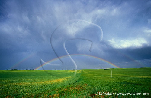 A double rainbow arcs over lush pasture in a changing stormy sky