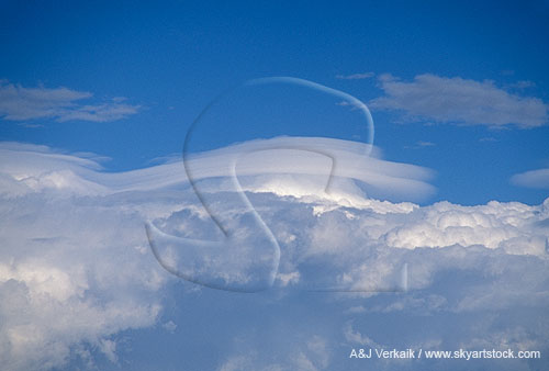 Pileus cloud with merged wafers with different moisture content