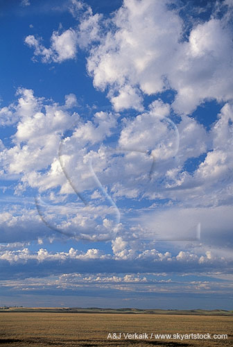 Carefree puffy clouds float over the prairies, invigorating us on a summer day