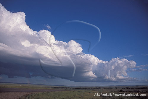 A detached gust front forms a long cumuliform cloud bank