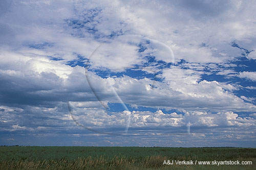 Cloud types, Acc: loosely arranged strips of Altocumulus Castellanus