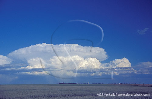 A distant Cumulonimbus storm cloud type with an overshooting top