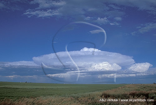 This circular Cumulonimbus shows the vertical structure of a storm