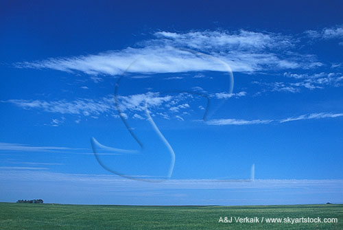Pristine cloudscape: open land, white clouds and pure blue sky 