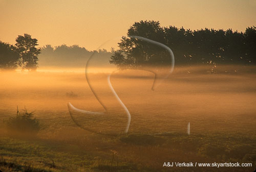 Cloud type, St: Stratus cloud resting on the ground (fog) at sunrise