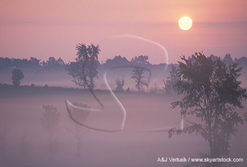 The rising disk of the sun over fields cloaked in early morning fog