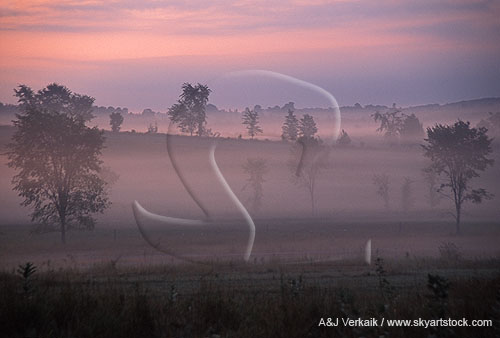 Dawn light and ground fog create an enchanted rural landscape