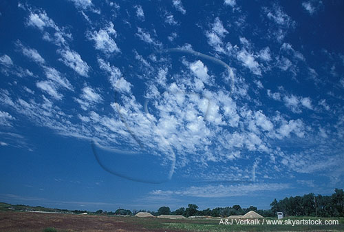 Altocumulus Floccus clouds in which each tuft has a tiny updraft