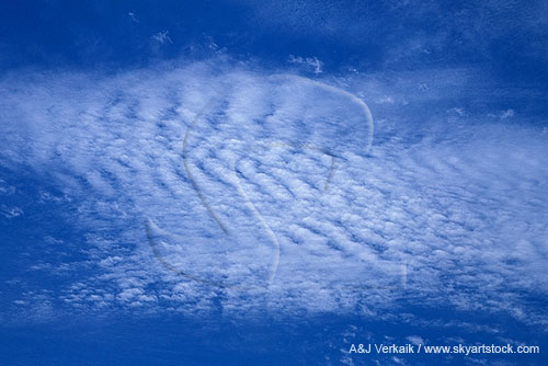 A complex pattern of criss-cross waves in cloud billows