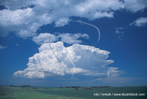 A small Cumulonimbus storm cloud exhibits crisply defined structure