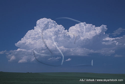 Pregnant clouds give birth to a young storm