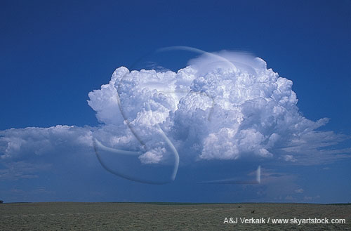 Energetic Cumulonimbus cloud with Pileus cap at its top
