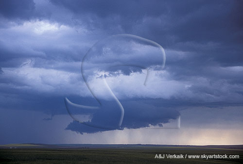A new cloud forms, with a lowering on its updraft base 