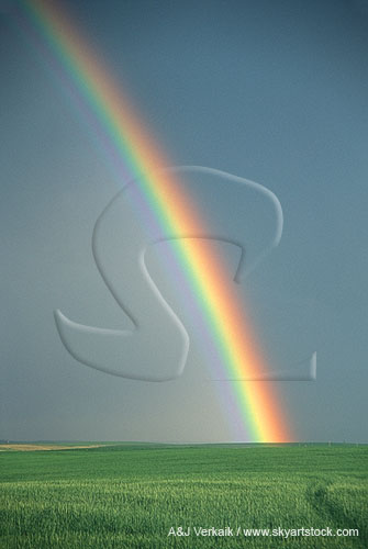 A brilliant rainbow displays the full color spectrum
