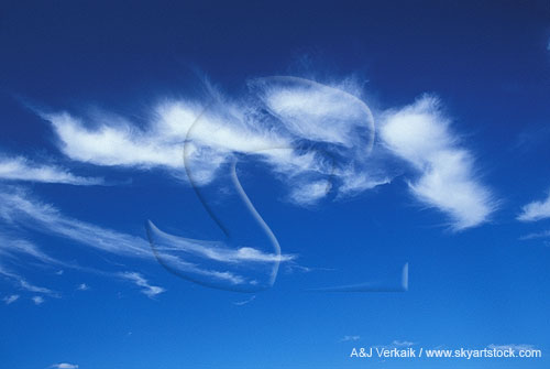 Bright cloud tufts in a deep blue sky
