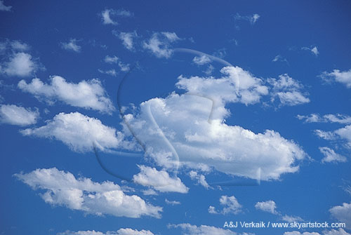 Cheerful abstract sky: puffy clouds float in a happy sky