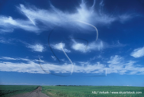 Cloud types, Ci: Cirrus clouds in smudged fibrous patches