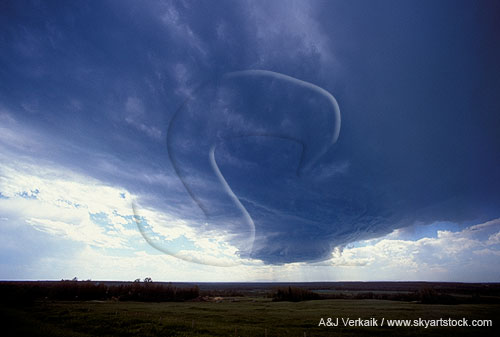 A small, distant tube is a funnel cloud under the back of a storm