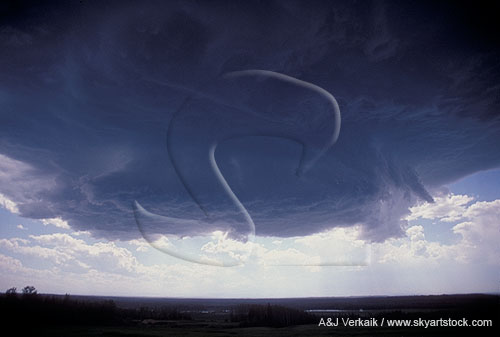Close view of a funnel cloud at the edge of a dark storm base