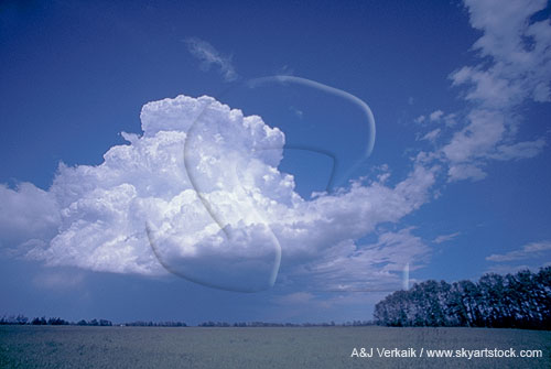 A multicell storm type has formed a thunderhead with a hard anvil