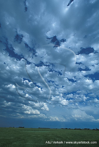 A procession of clouds with bubbling elements