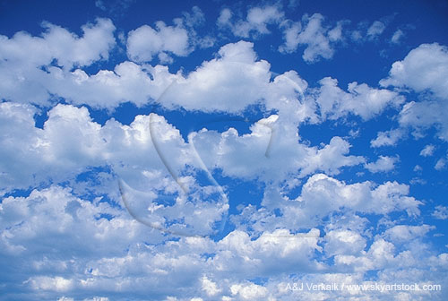 Bright puffy clouds are floating up, up and away