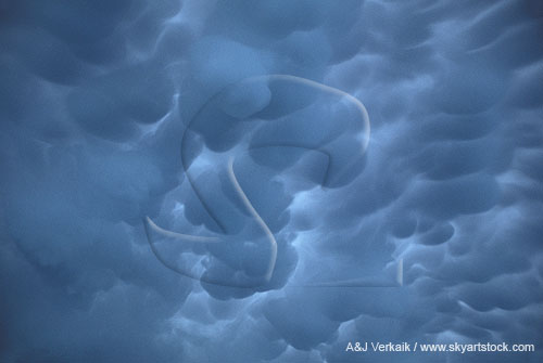 Close view of smoothly sculpted Mammatus clouds